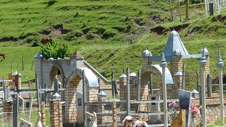 Friedhof: Ein ganz normaler Friedhof in Usbekistan - bis auf die Kuh, die friedlich zwischen den Gräbern grast.