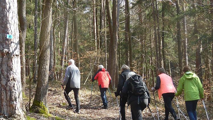 Blick auf die NW-Tour 3