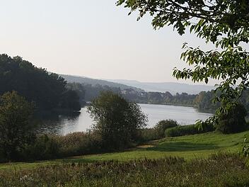 Neuensee: Umweltstation bietet geführte Wanderung an - welches Programm die Teilnehmer erwartet