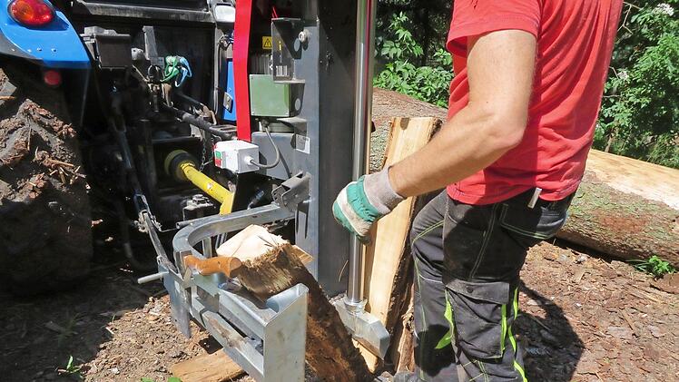 Ob Amateur oder Profi: Neben guter Ausrüstung, Fachwissen und Konzentration bei der Arbeit ist es wichtig, nie alleine im Wald zu sein.
