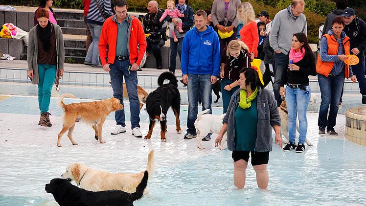 Sehr gut angenommen wurden die ersten beiden Hundebadetage im Stadionbad. Foto: Stadtwerke