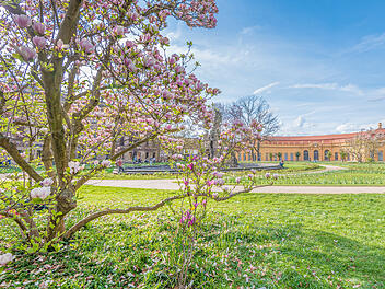Orangerie Schlossgarten Erlangen im Fr&uuml;hling
