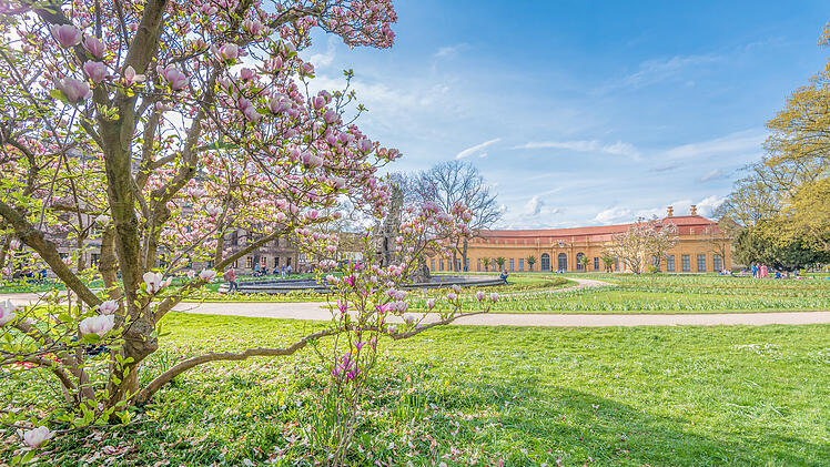 Orangerie Schlossgarten Erlangen im Fr&uuml;hling