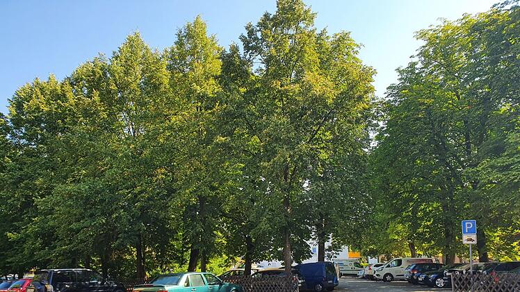 Jede freie Fläche auf und vor dem Parkplatz hinter den Hallenbad wird zugeparkt, auch wenn sie gar kein Stellplatz ist. Foto: Christine Fischer