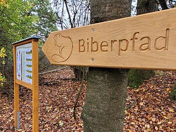 Ein Biberpfad, der eigentlich ein Naturlehrpfad ist, informiert mit Tafeln über das Leben des geschützten Nagers, aber auch über andere interessante Themen in einem Wald, wie zum Beispiel den ökologischen Wert von Totholz. Foto: Steffen Standke