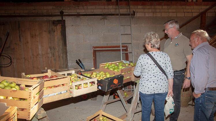 Die Apfelsorten-Ausstellung in der Scheune von Georg DonathFotos: Klaus Gagel
