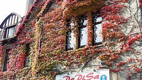 Erst vor wenigen Monaten hatte es im Alten Schützenhaus einen neuen gastronomischen Anlauf gegeben - unter dem Namen "Papisa".