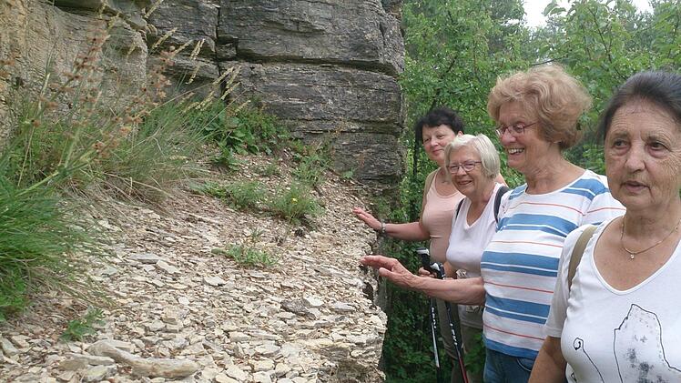Auch auf reinem Muschelkalk finden Pflanzen eine Nische zum Überleben.Elisabeth Assmann