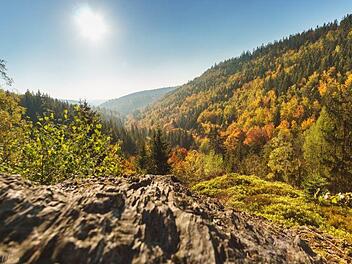 Der Frankenwald soll weiterentwickelt werden. Neue Einrichtungen in verschiedenen Bereichen, wie Natur oder Bildung,  sollen die Region für die Zukunft fit machen. Die Bayerischen Staatsforsten wollen dazu einen beachtlichen Beitrag leisten. Foto: ToMaPics/inFrankenPIX
