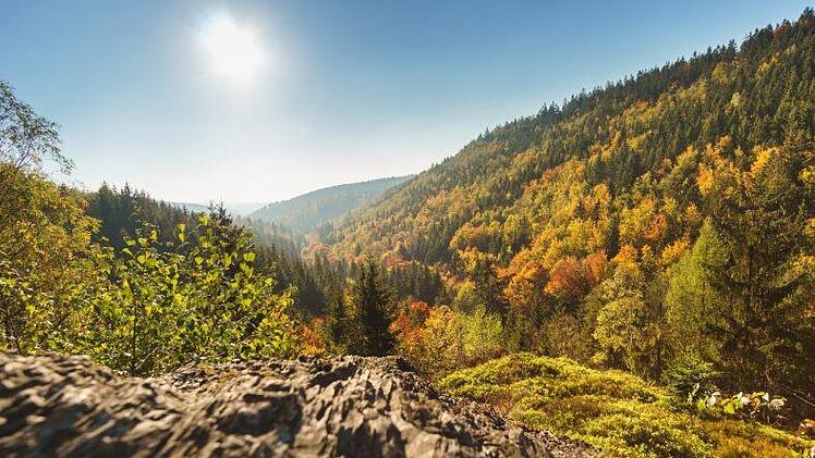Der Frankenwald soll weiterentwickelt werden. Neue Einrichtungen in verschiedenen Bereichen, wie Natur oder Bildung,  sollen die Region für die Zukunft fit machen. Die Bayerischen Staatsforsten wollen dazu einen beachtlichen Beitrag leisten. Foto: ToMaPics/inFrankenPIX