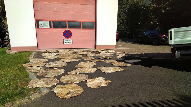 So legte der Musiker seine Felle zum Trocknen vors Feuerwehrhaus Foto: Stadt Bad Brückenau
