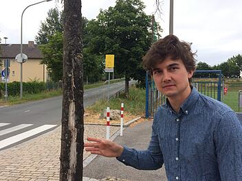 Bäume mit Sonnenbrand und gelben Blättern im Juli - dazu trägt für Baumpfleger Christopher Busch nicht nur das Klima bei. Er beklagt, dass viel Bäume an Straßen zu wenig Entfaltungsraum haben, unter einer dünnen Bodenschicht folgt häufig gleich Schotter.  Fotos: Stefan Fößel (2), Christopher Busch