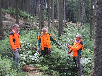 Florian Fischer, Matthias Lindig und Bruno Fischer (von links) im Staatswald bei Heinersberg. Dort wird nicht nur Holz geerntet, wie die Polter im Hintergrund zeigen, es gibt auch Naturverjüngung der Fichte, aber vor allem von Tanne, Buche, Vogelbeere etc. Und auch Totholz (im Vordergrund) bietet nützlichen Insekten einen Lebensraum.  Foto: Friedwald Schedel