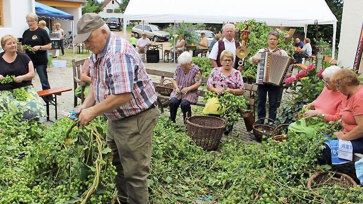 Im Hof der Mühle von Regina und Paul Bruckmann wurden die Hopfenblüten gezupft. Foto: Evi Seeger