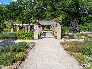 Spazierweg durch den historischen Stadtpark Hain in Bamberg