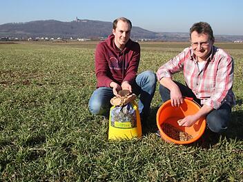 Lukas Hatzold (links) und Georg Weiß auf ihrem Feld bei Wolfsdorf. Hier, am Wallfahrerweg nach Vierzehnheiligen, wollen sie eine Blühfläche anlegen, doch das Interesse der Bürger am Obermain, eine Patenschaft für einige Quadratmeter zu übernehmen, ist gering.Matthias Einwag