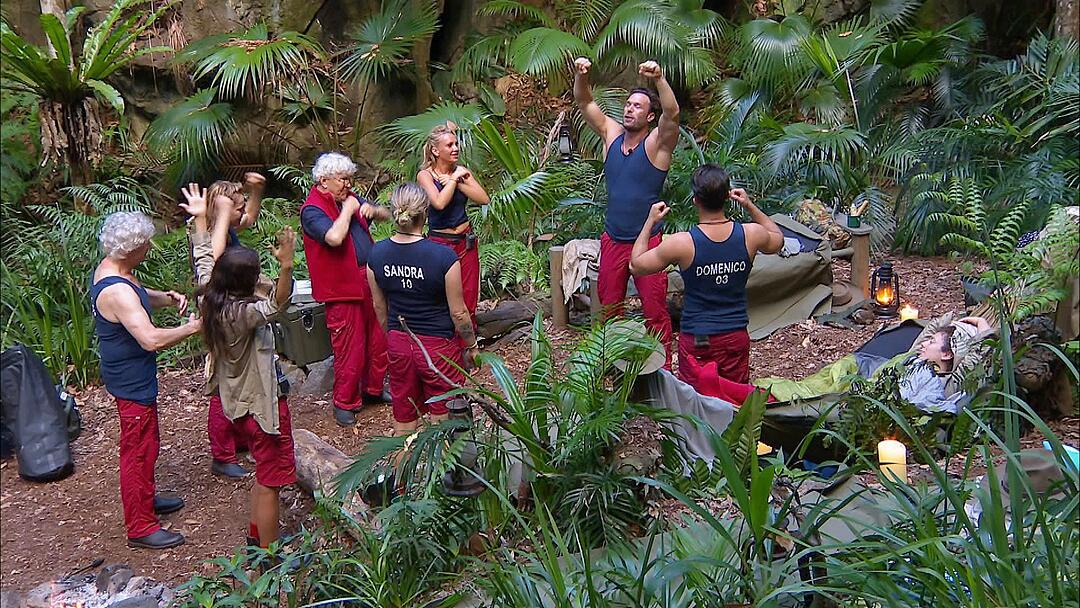 "Ich bin ein Star - Holt mich hier raus!": Tag 1 im Dschungelccamp 2019
