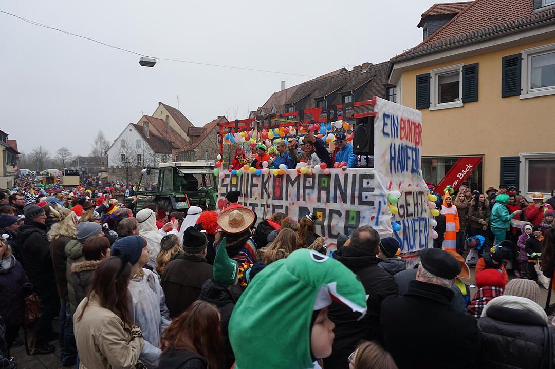 Landkreisfaschingszug 2015
