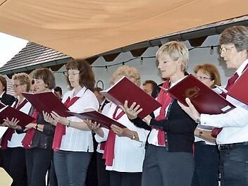 Der Liederkranz Dobenreuth und Pinzberg singt unter der Leitung von Alexander Ezhelev. Foto: privat