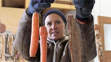 Elke Gundermann präsentiert die "Geschenke", die sie für ihre Vierbeiner an den Weihnachtsbaum hängt. Foto: Markus Häggberg