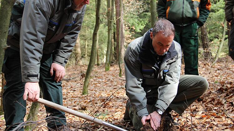 So sieht gesunder Waldboden aus: Peter Nützel (links) und Steffen Auerswald zeigen den Nutzen von Laubgehölzen. Foto: Katharina Müller-Sanke