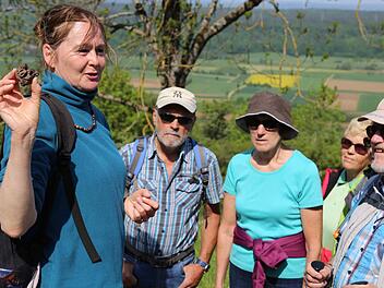 Diplom-Geographin Doris Philippi veranschaulichte den Teilnehmern der FT-Leserwanderung die geologischen Besonderheiten der Ehrenbürg. Fotos: Franz Galster