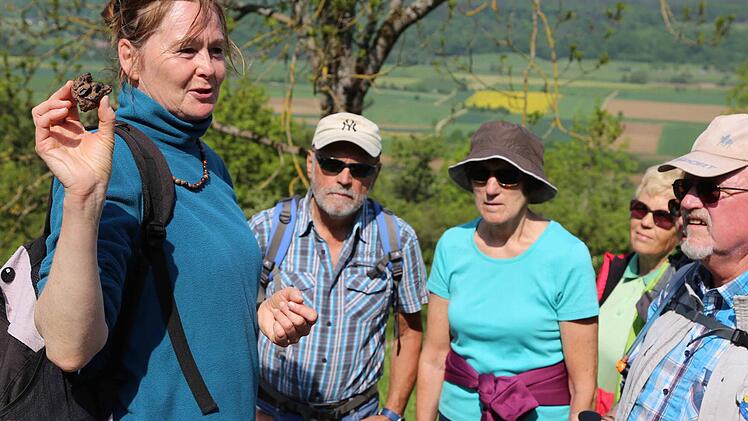 Diplom-Geographin Doris Philippi veranschaulichte den Teilnehmern der FT-Leserwanderung die geologischen Besonderheiten der Ehrenbürg. Fotos: Franz Galster
