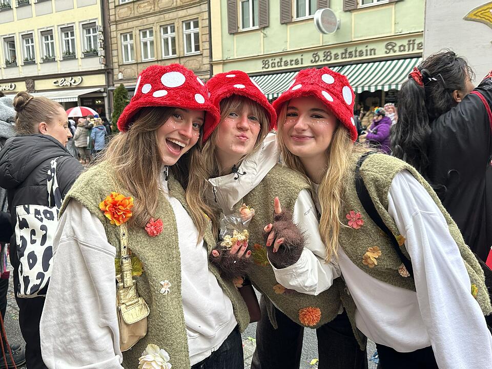 Die sch&ouml;nsten Bilder vom Bamberger Faschingsumzug