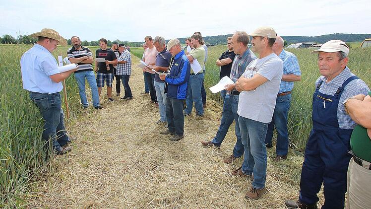 Landwirte lernen die Vorteile verschiedener Getreidesorten kennen.Foto: Dieter Britz