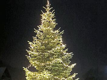 Neun Meter hoch und mit 1520 Lichtern bestückt ist der Weihnachtsbaum im Garten von Christian Kremer in Steinwiesen.  Foto: Susanne Deuerling