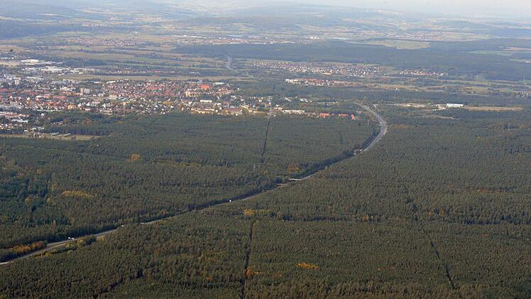 Was wird aus dem Bamberger Hauptsmoorwald? Heute entscheidet der Stadtrat über die Gleistrasse entlang der Autobahn A 73.  Foto: Ronald Rinklef