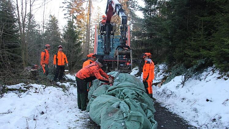 Letzte Arbeiten vor dem Abtransport Veronika Schadeck