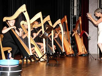 Uli Nix spornte das Harfenensemble zu einer brillanten Leistung an. Foto: Richard Sänger