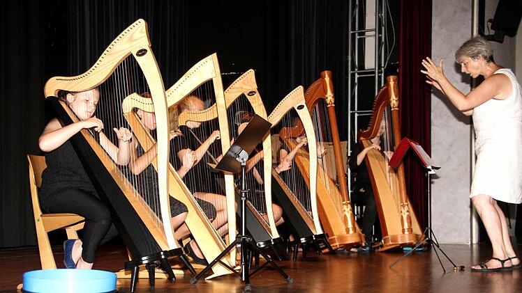 Uli Nix spornte das Harfenensemble zu einer brillanten Leistung an. Foto: Richard Sänger