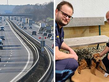 Hund von A9 gerettet