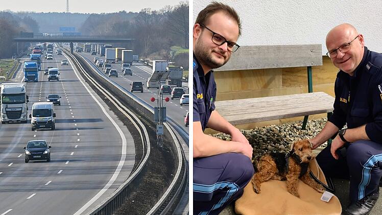 Hund von A9 gerettet
