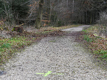 15-J&auml;hrige stirbt nach Angriff