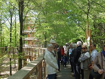 Mitglieder der Senioren-Union im Steigerwald.  Foto: Senioren-Union
