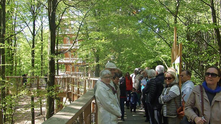 Mitglieder der Senioren-Union im Steigerwald.  Foto: Senioren-Union