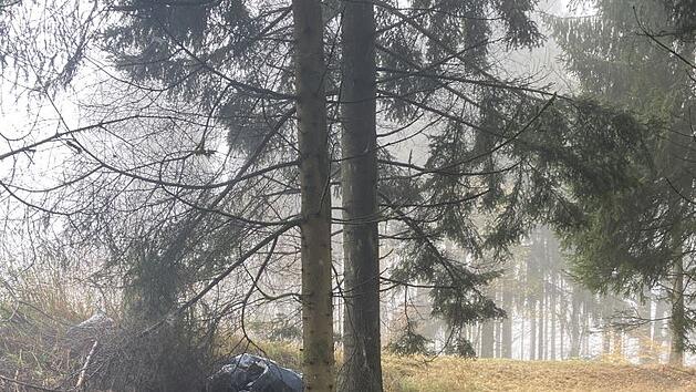 Illegale M&uuml;llentsorgung im Wald bei Ludwigsstadt