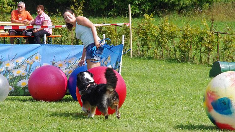 Die Kronacher Hundeschule "Dogtraining" bietet inzwischen auch Treibball-Unterricht an. Foto: Marco Meißner