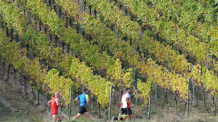 Impressionen vom Weinberglauf des SV Ramsthal.ssp