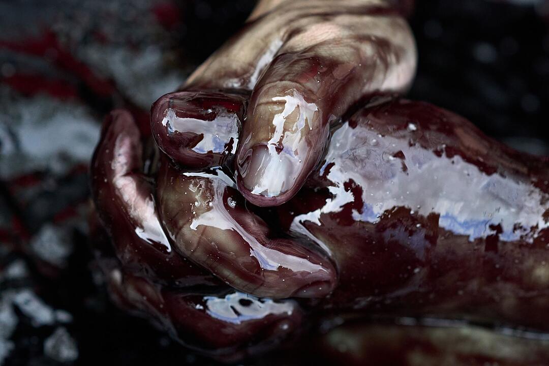 Umweltproteste in den Niederlande