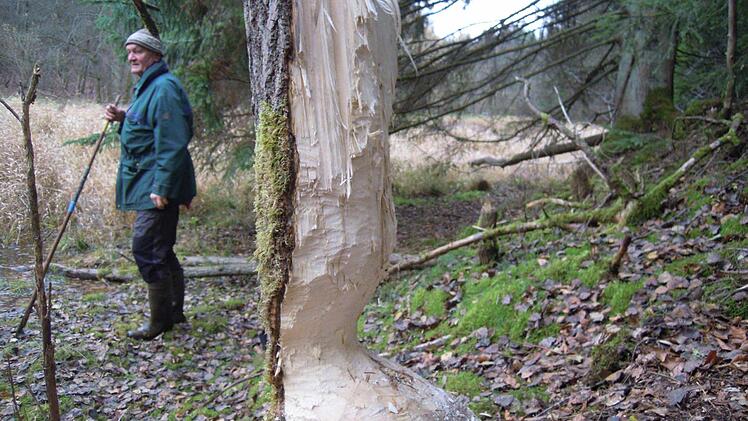 Auf frischer Tat ertappt: Ähnlich wie im Staatsbad sieht die Landschaft auch hier im Schondratal aus, im ehemaligen Revier von Rainer Betz (Hintergrund).  Fotos: Julia Raab