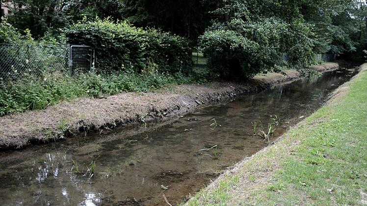 Gemulchtes Ufer am Seebach Foto: Christian Wosegien