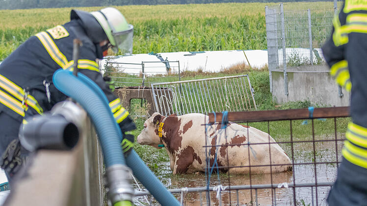 Kuh droht auf Weide zu ertrinken: Heftige Unwetter im Landkreis Fürth