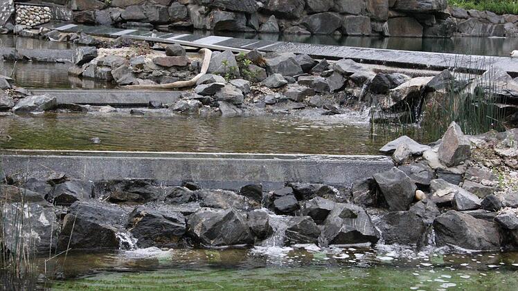 Aus dem Badeteich (rechts oben) fließt das Wasser über Kaskaden in mehrere tiefer liegende kleinere Becken und wird dadurch schon vorgereinigt.  Foto: Friedwald Schedel