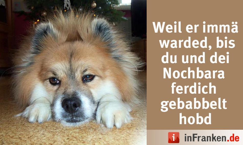 Foto: Ingrid Schr