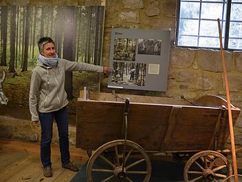 Museumsleiterin Chris Loos führt durch die neue Ausstellung im Gerätemuseum Ahorn. Foto: Rainer Lutz