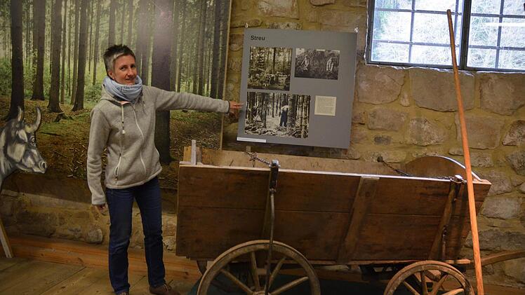 Museumsleiterin Chris Loos führt durch die neue Ausstellung im Gerätemuseum Ahorn. Foto: Rainer Lutz